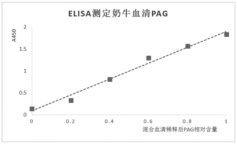 產生牛妊娠相關糖蛋白特異性單克隆抗體的小鼠雜交瘤細胞株、單克隆抗體、試劑盒及檢測