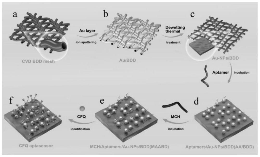 一種用于檢測頭孢喹諾的適配體傳感器的制備方法