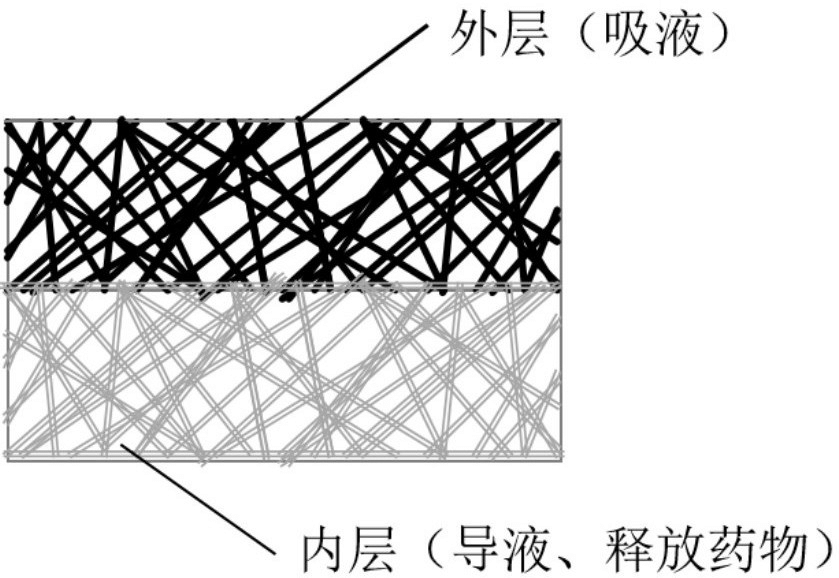 一種抗炎促愈電紡絲傷口敷料、制備方法及其應用