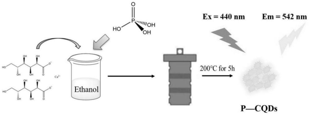 一種以葡萄糖酸鈣為原料制備磷摻雜碳量子點的方法及其在六價鉻離子檢測中的應用
