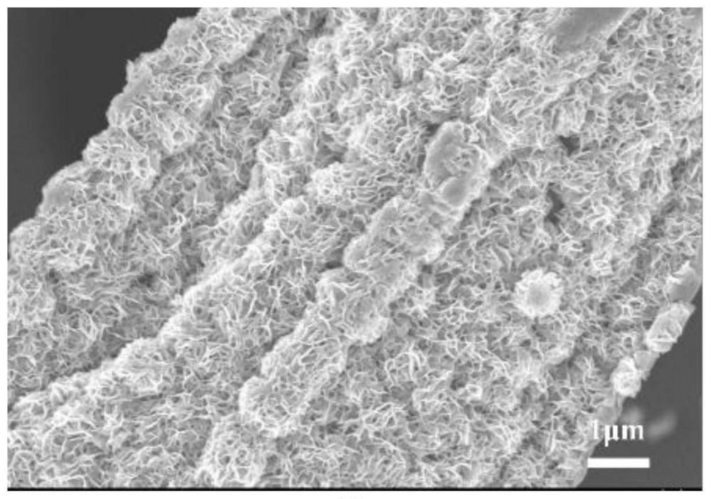 一種兼具優異機械性能的碳纖維基太陽能光熱高效轉化材料及其制備方法和應用
