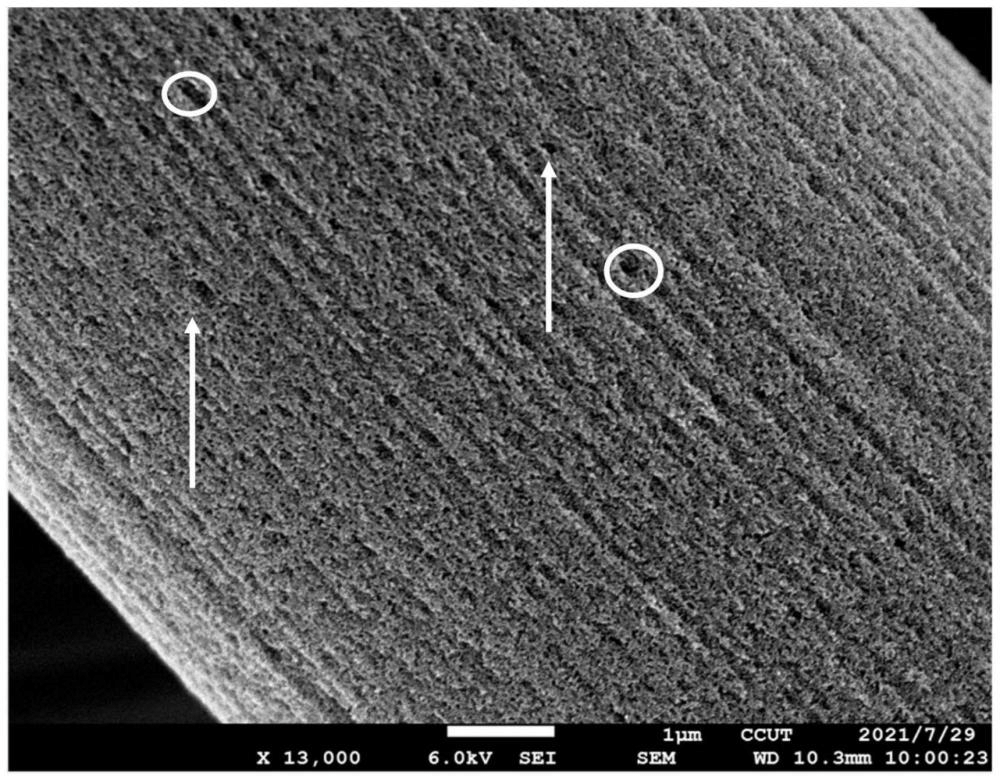 一種氮摻雜多孔碳纖維及其制備方法、炭紙及其應用