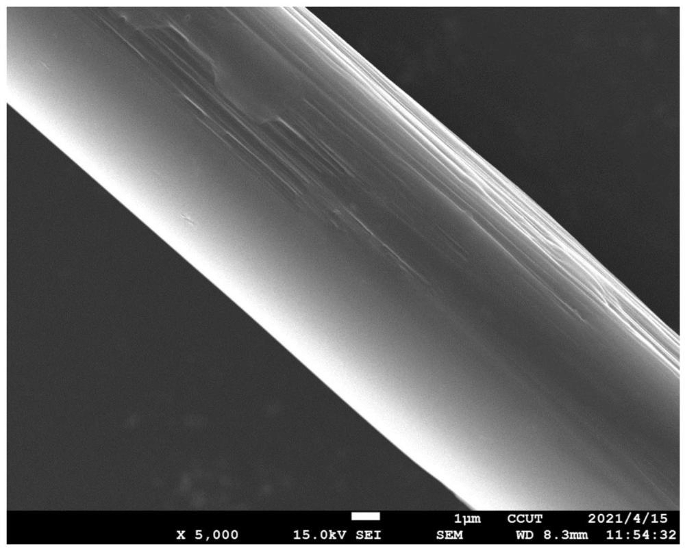 水性環氧改性柚皮苷、碳纖維上漿劑和上漿碳纖維及制備方法