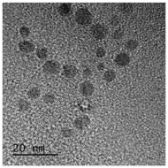 一種正電性的基因載體功能的聚合物熒光碳量子點的制備方法及應用