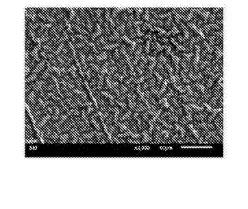 一種聚甲基丙烯酸甲酯導電凝膠的制備方法