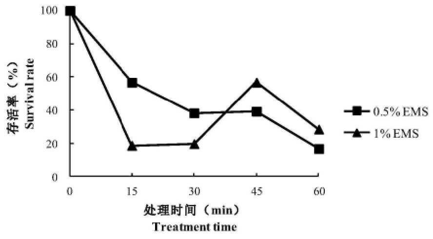 高產甘露醇的檸檬明串株菌HM1菌株及發酵制備甘露醇的方法