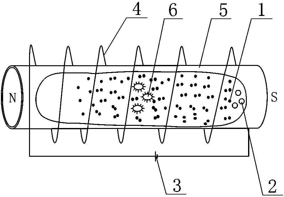利用電磁場的柱內流動式固定相的生物大分子分離方法