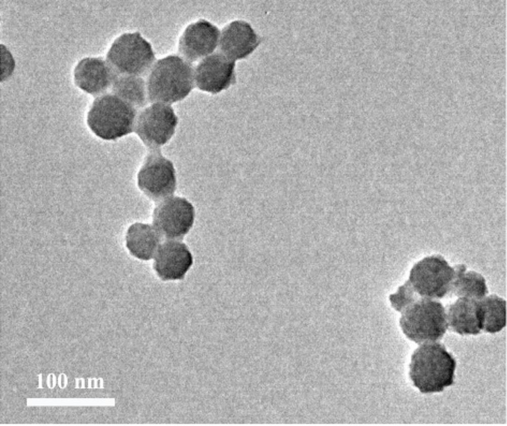 一種雙氫青蒿素納米藥物及其制備方法